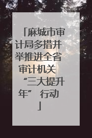 麻城市审计局多措并举推进全省审计机关 “三大提升年” 行动